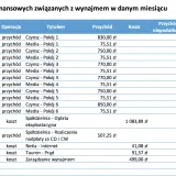 Ile można zarobić na wynajmie mieszkania? Sprawdź realne kwoty i strategie