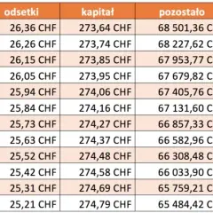 Czy banki udzielają kredytów we frankach? Sprawdź dostępne opcje i ryzyka