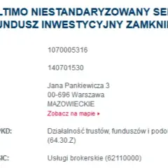 Niestandaryzowany sekurytyzacyjny fundusz inwestycyjny zamknięty – co warto wiedzieć?