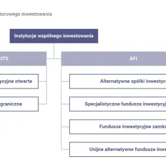 Schemat podziału instytucji wspólnego inwestowania na UCITS i AFI z ich podtypami.