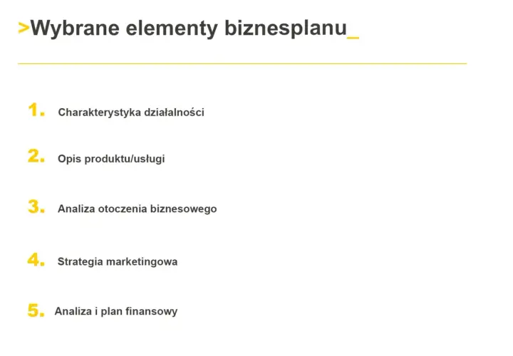 Co zawiera biznes plan? Kluczowe elementy, które musisz znać