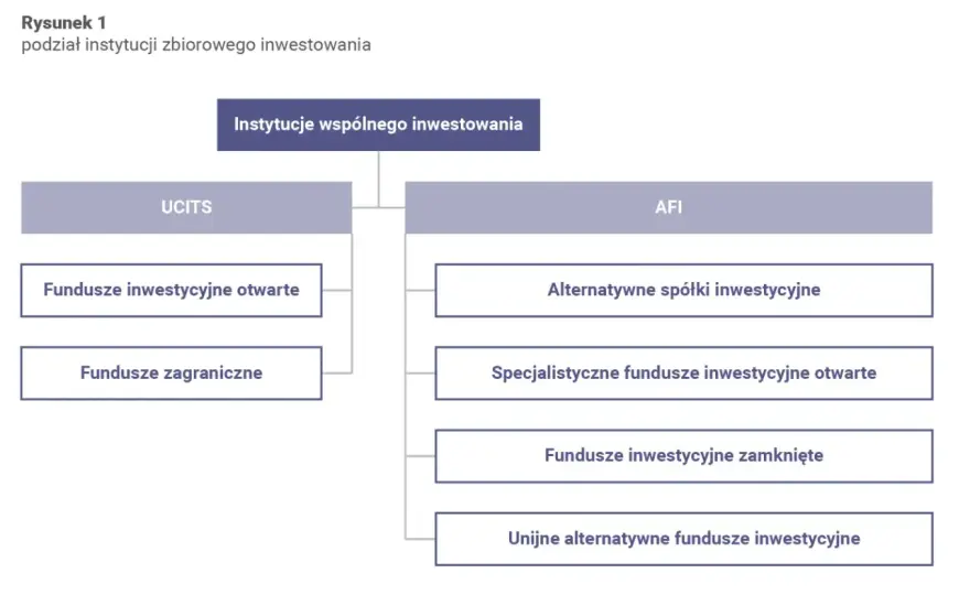 Towarzystwo funduszy inwestycyjnych co to? Kluczowe informacje i funkcje