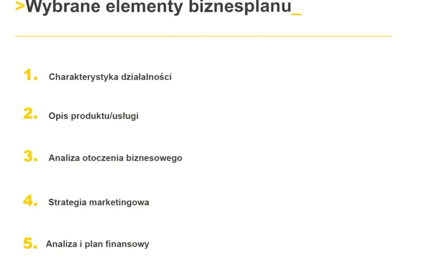 Co zawiera biznes plan? Kluczowe elementy, które musisz znać